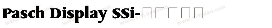 Pasch Display SSi字体转换
